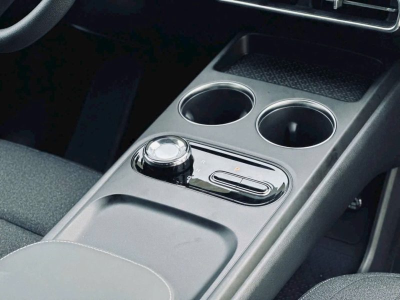 VinFast Limo Green - Ảnh 6