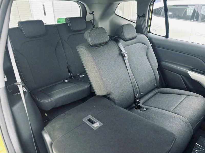 VinFast Limo Green - Ảnh 12